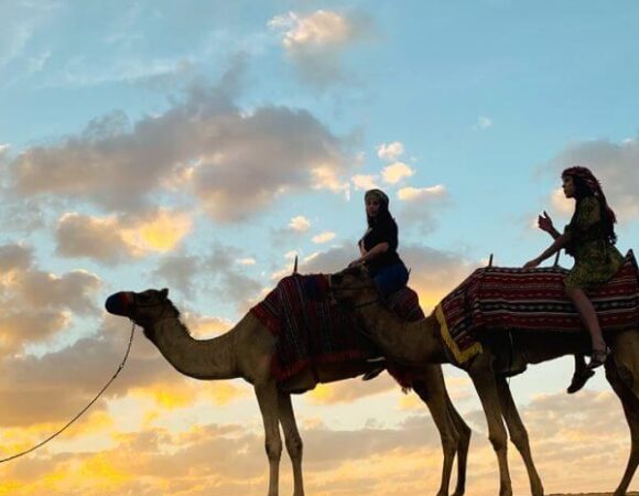 Dubai Camel Riding Tours