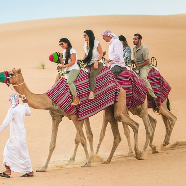 Royal Desert Safari Dubai